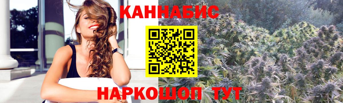 Бошки Шишки планчик  Бошки Шишки план  Кирово-Чепецк  Вход с VPN  Марихуана OG Kush 